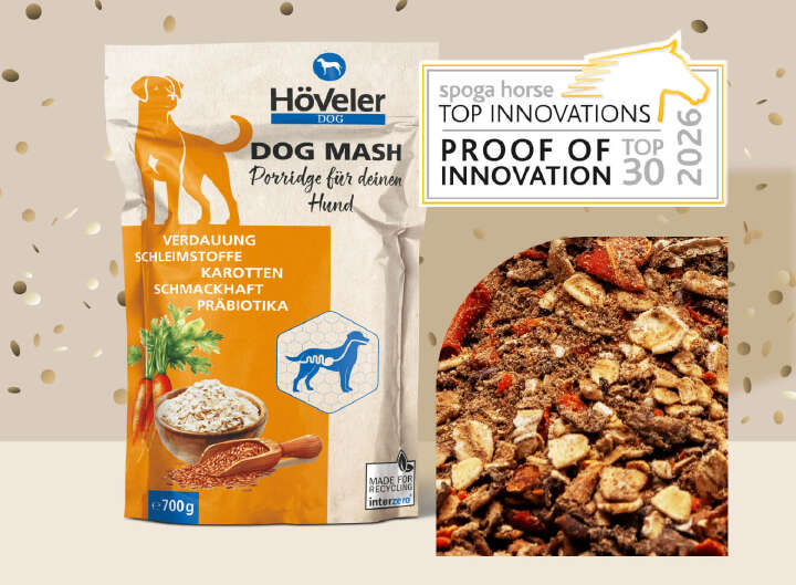 teaser dogmash neues von hoeveler